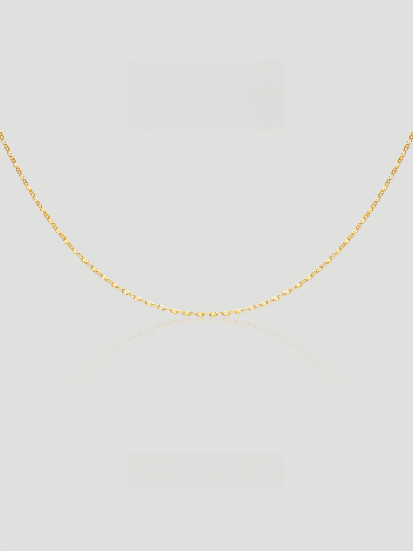 Ellera Link Single Chain Necklace